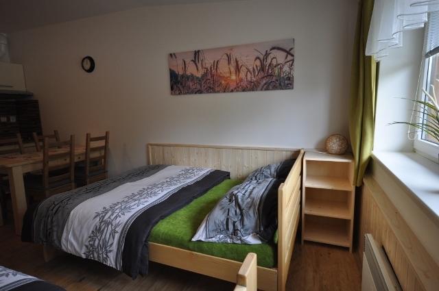 Studio Apartments Lipno 22, 24 Lipno nad Vltavou Room photo